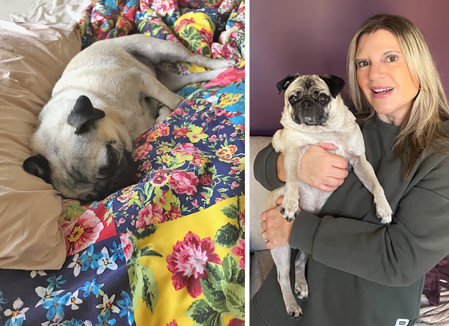 Laura's story of adopting Ethel