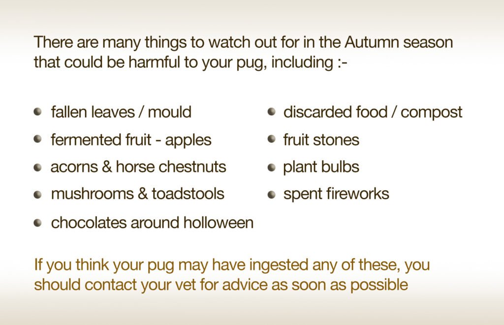 A list of Hazards for Autumn