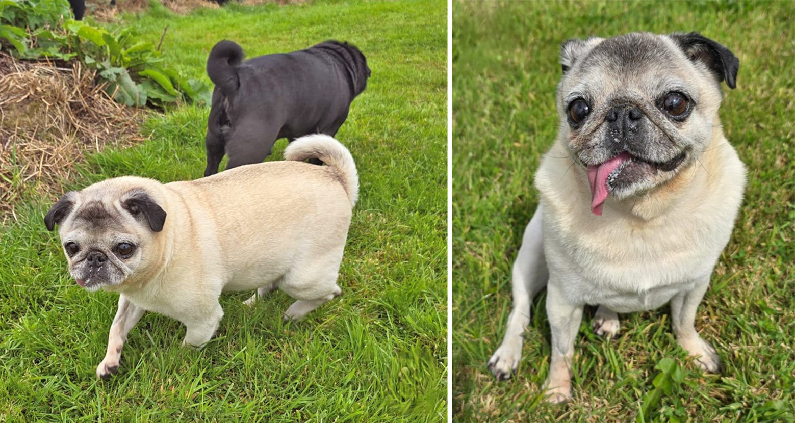 Dolly in the garden with new brother Luigi