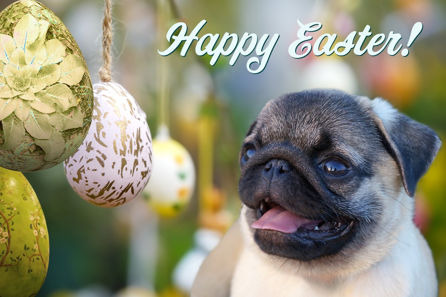 Spring Hazards & temptations!