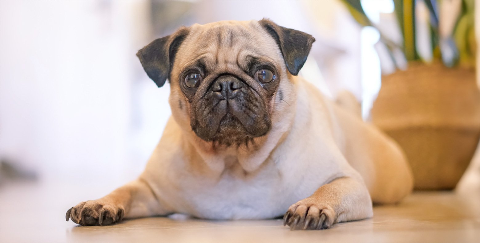 Interview with PWR Home Checker Kate