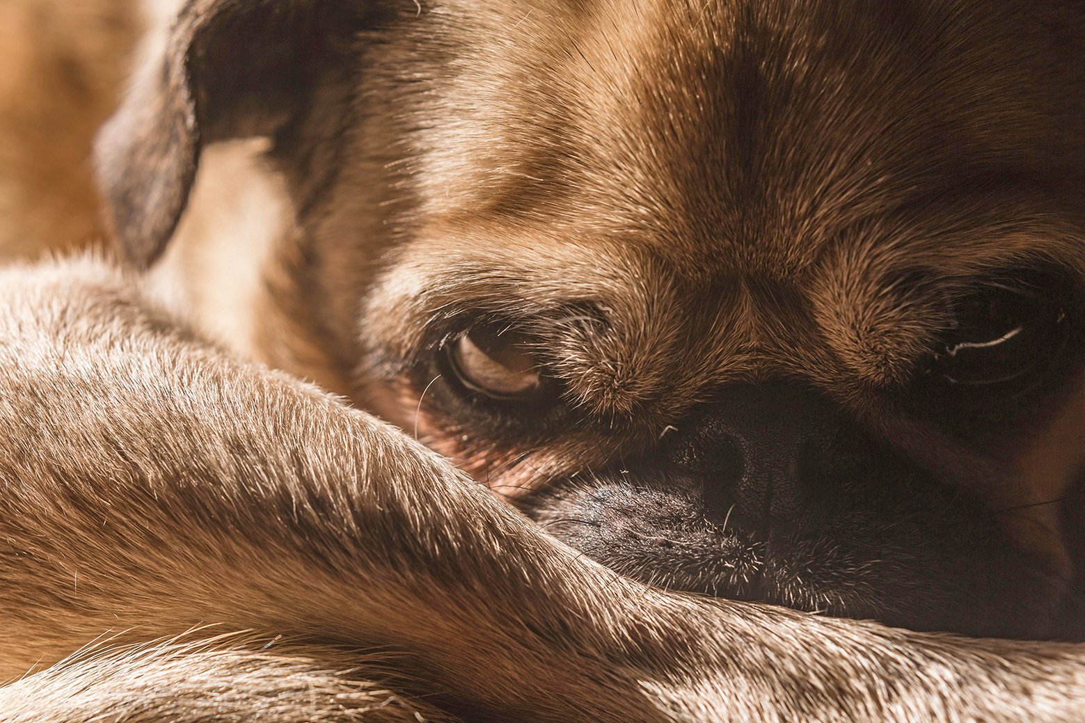 Knowing When is the Right Time to Say Goodbye is very important