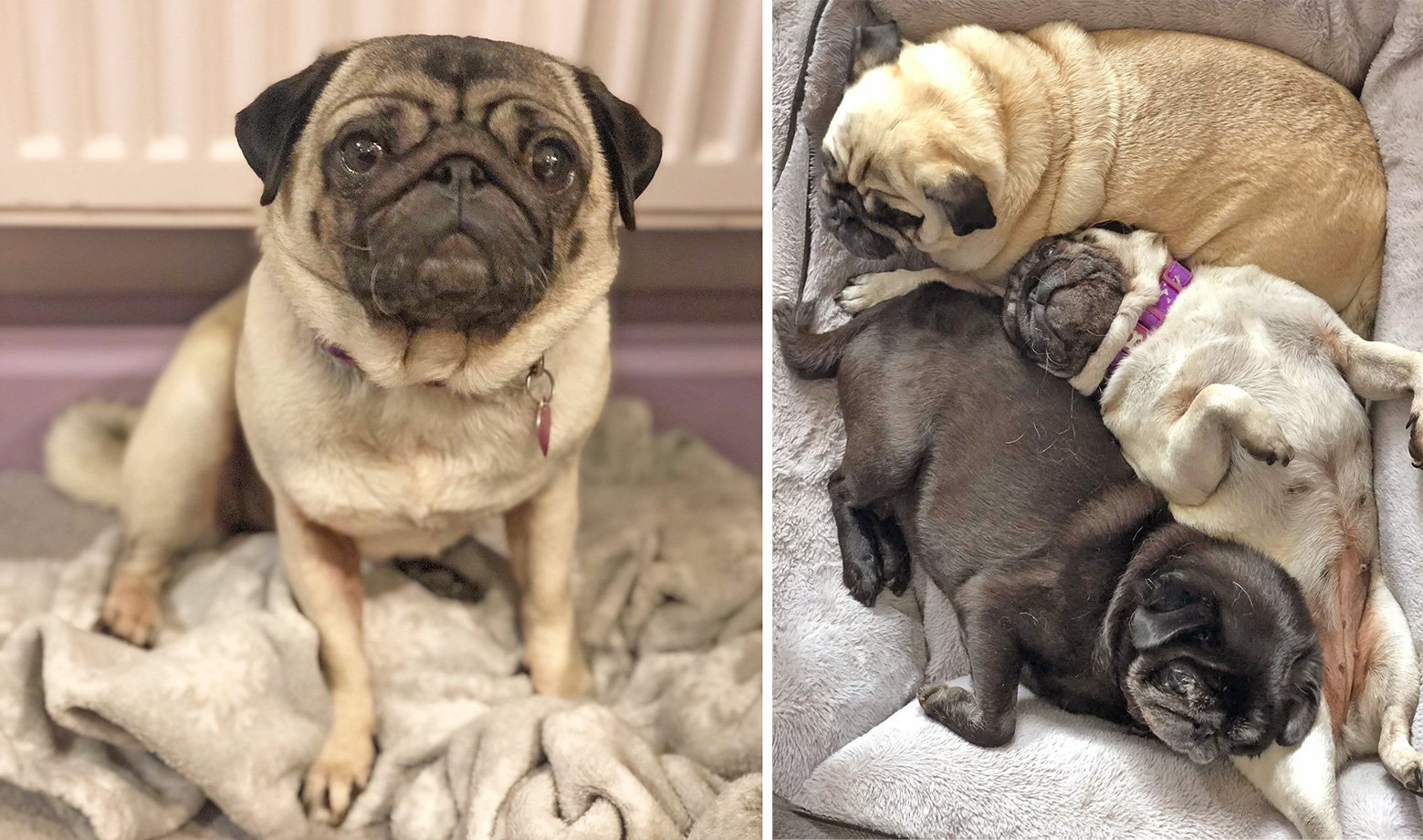 Despite settling in well, it wasn’t long before Lottie’s past caught up with her in terms of her health