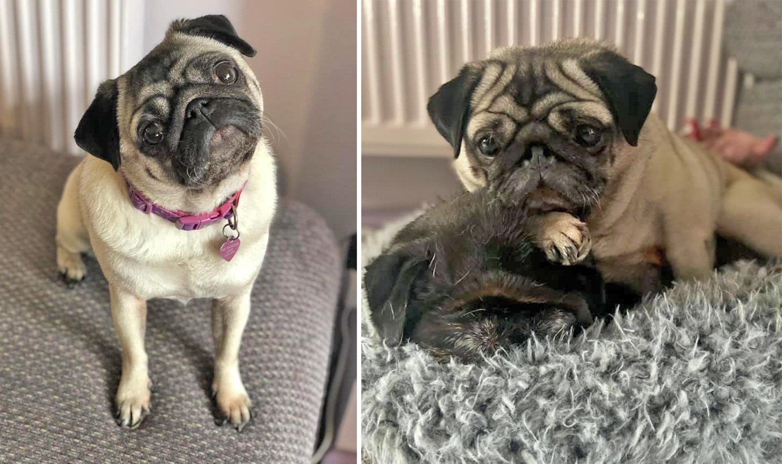 The life and times of Little Lottie, aka Crazy Girl, aka Stinky Minky