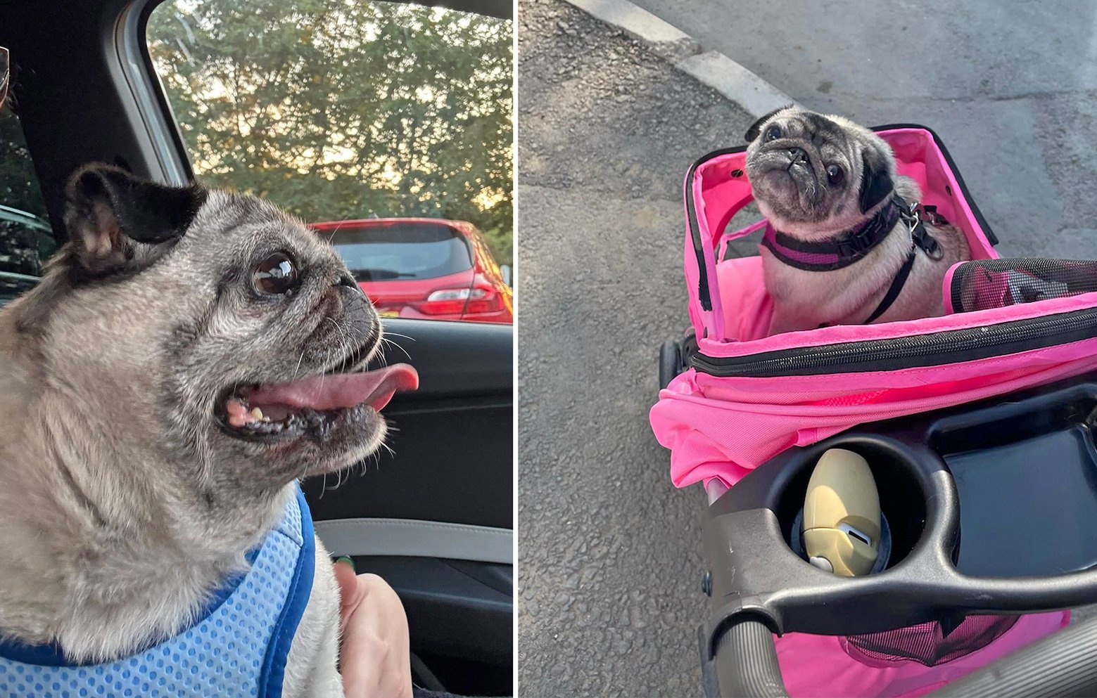 In the later years of her life, some of the problems of Lottie's past came back