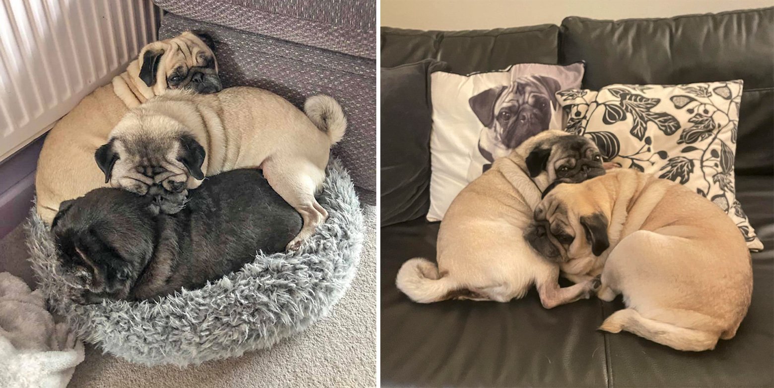 In the last six months of Lottie’s life, she slowly deteriorated