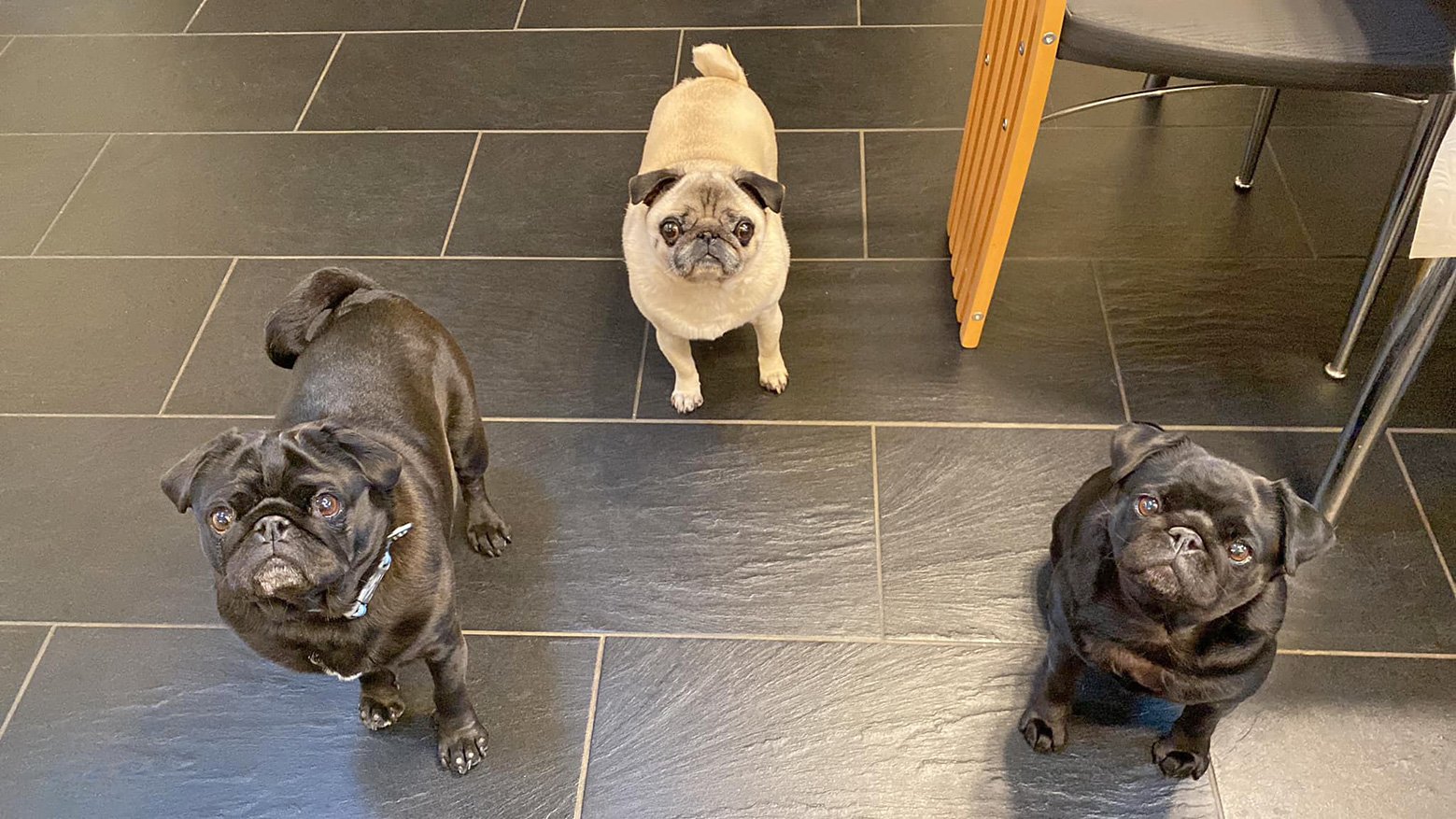 Martha with her siblings