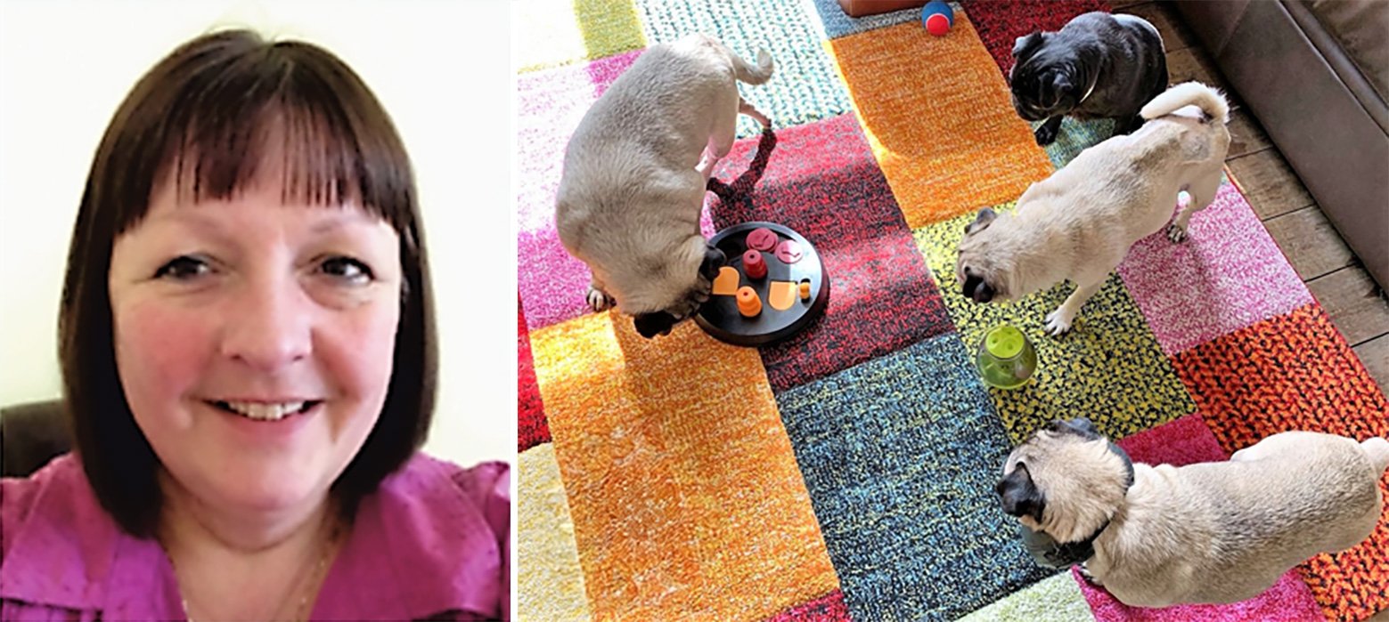 Paula Parke with some of her rescued pugs