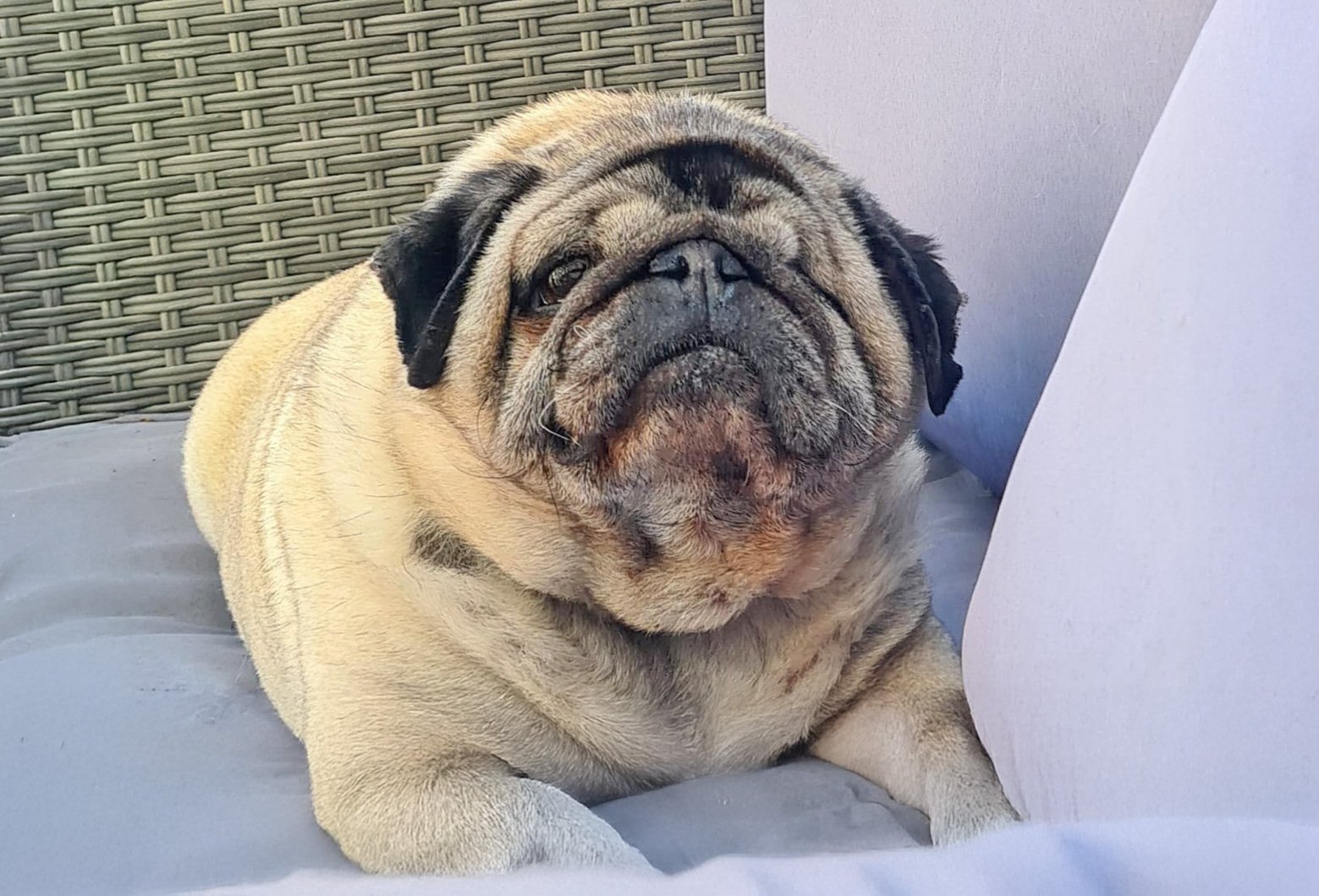 Dear old Ralph coped with a multitude of problems throughout his life but despite all, took and gave pleasure to those who came across him