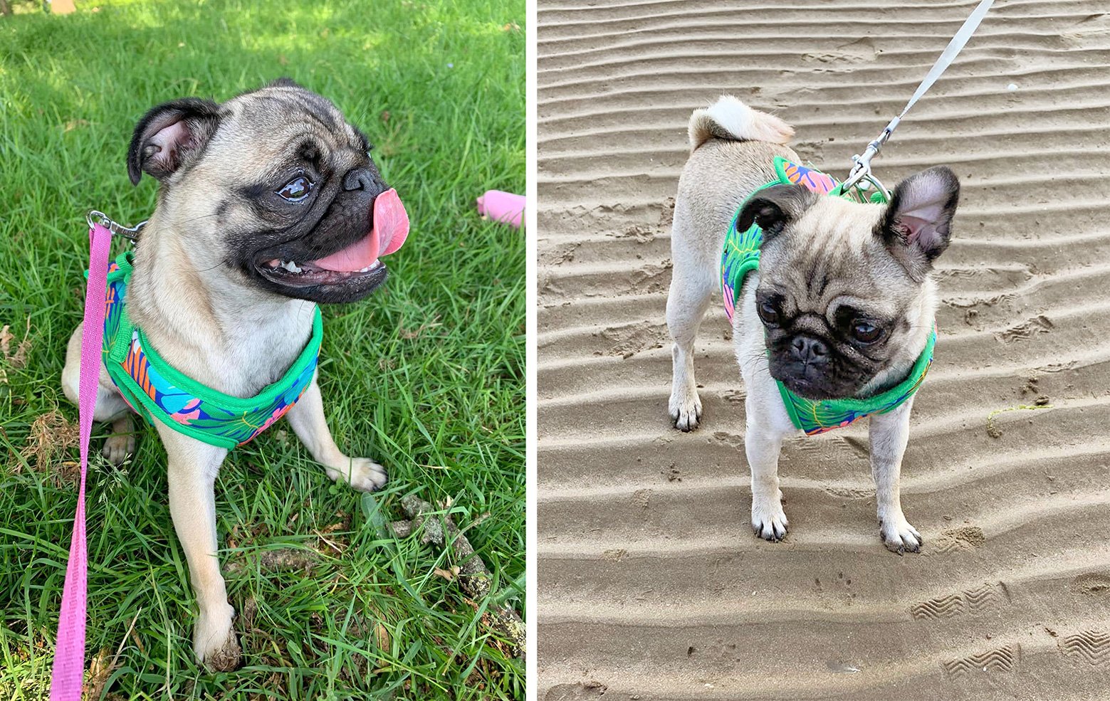 Sandra loves being outdoors