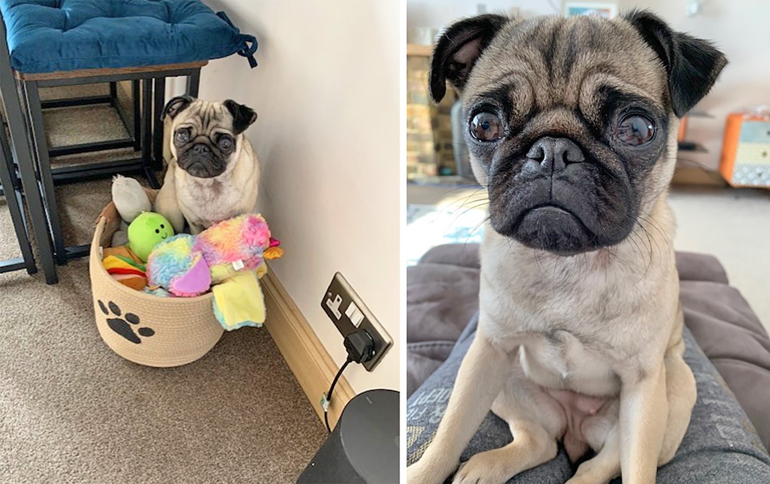 Sandra is blessed with a wealth of toys