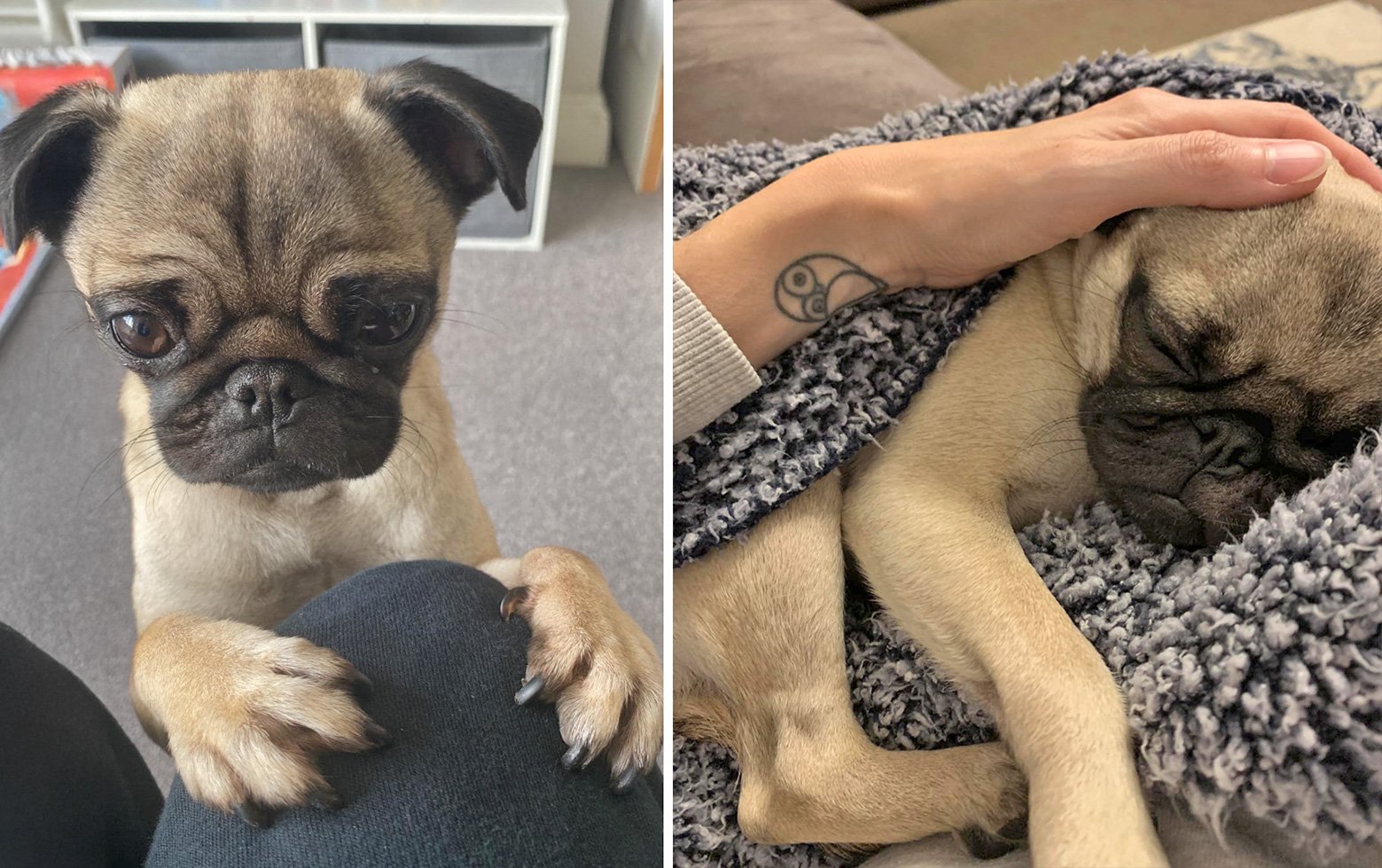 Sandra loves to be the centre of attention