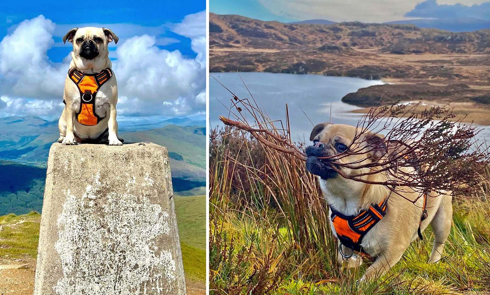 Soks on some of her daventures around the UK