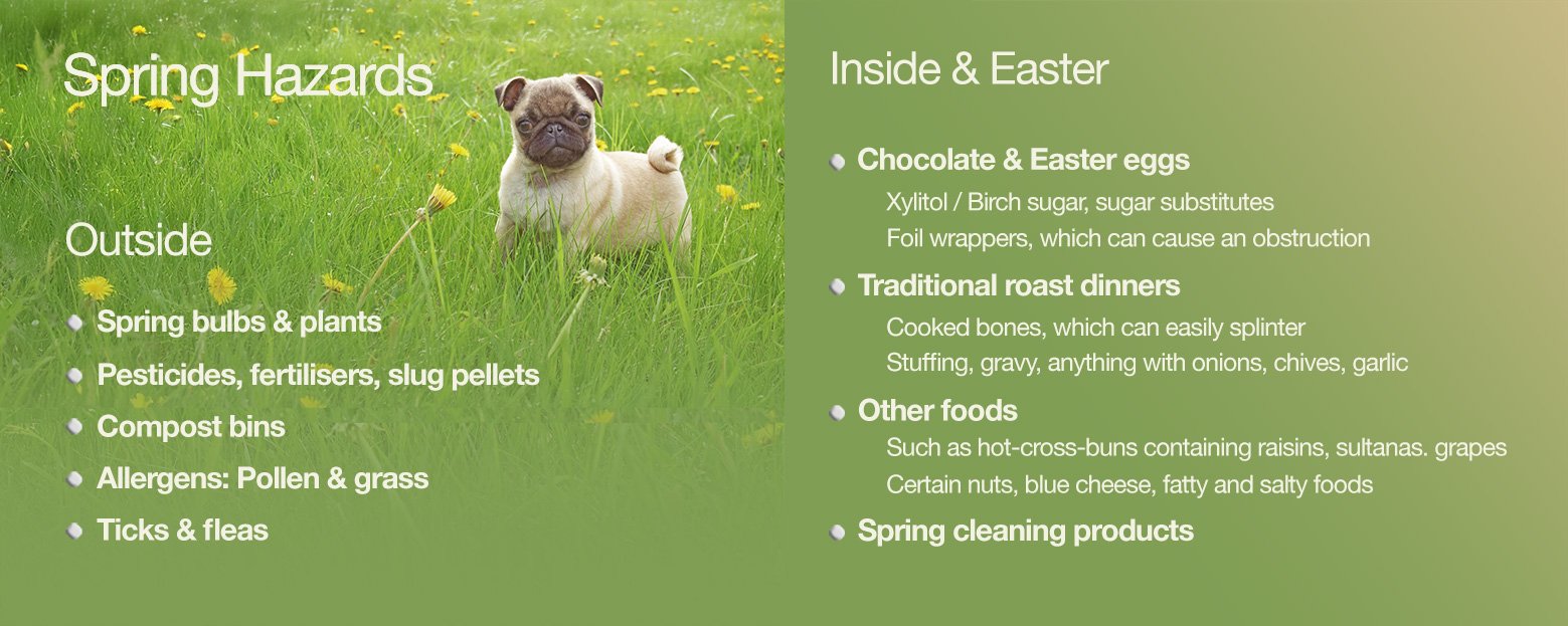 Spring Hazards & temptations!