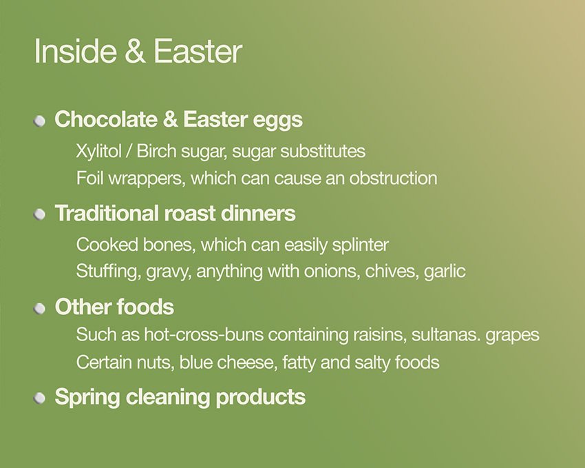 Things to watch out for in Spring that could be hazardous for your pug