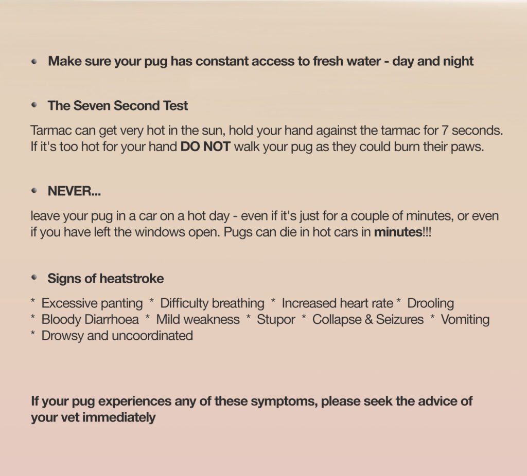 Summer Hazards for your pug