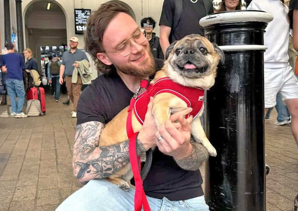 PWR Transporters help to get our pugs to their new homes