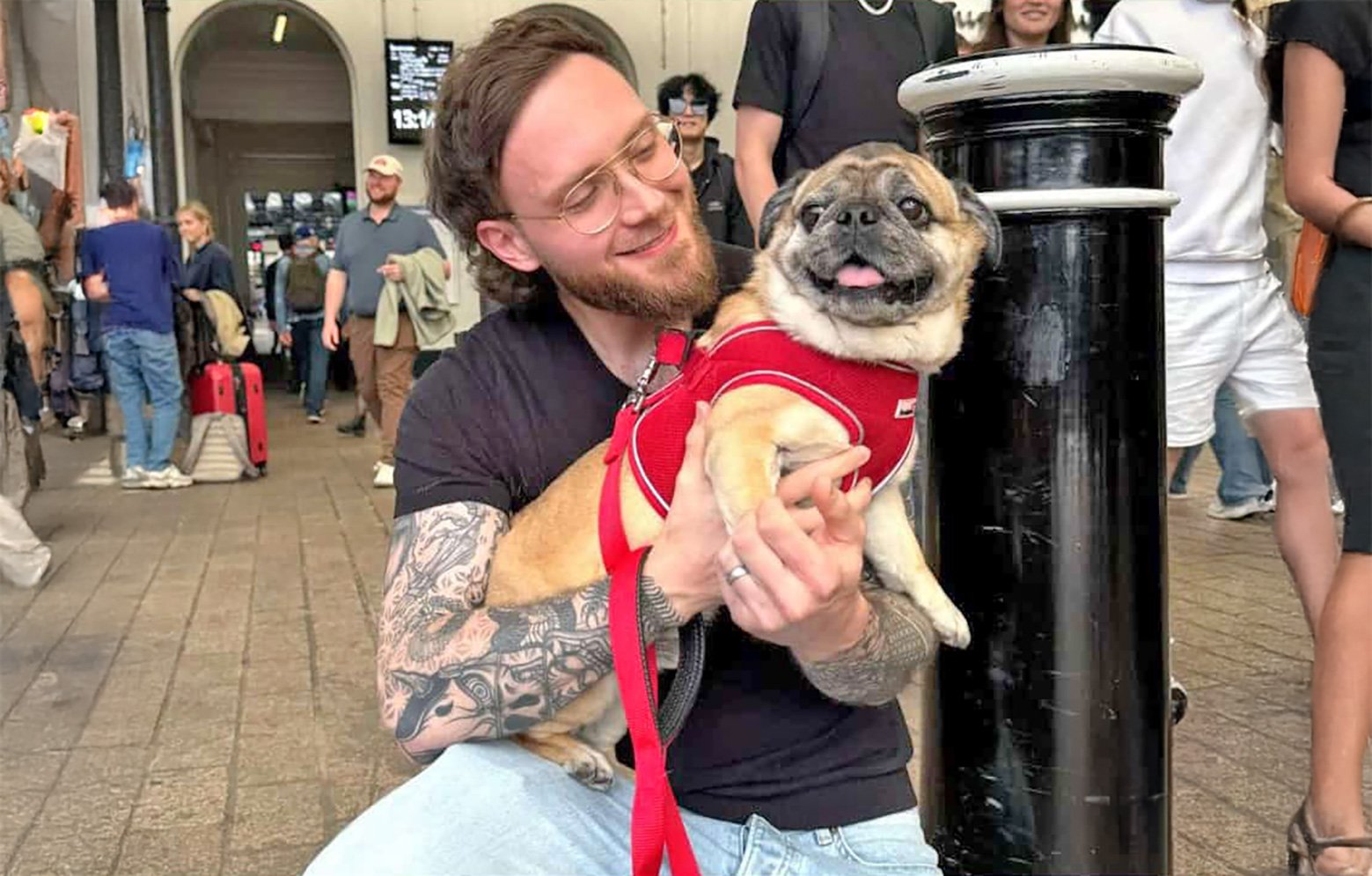 Meeting your new human - Thankyou to our Transporters!