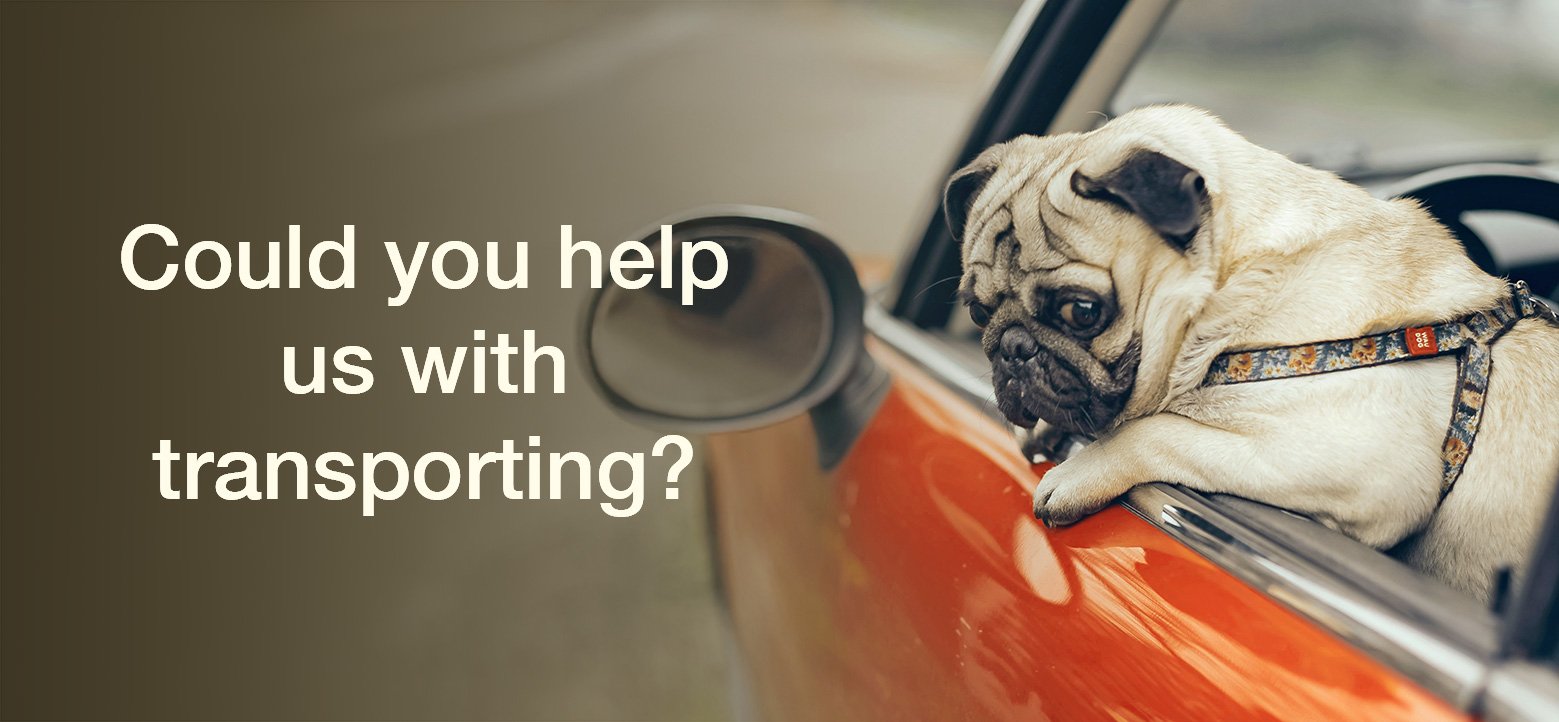 Could you help us with transporting for the PDWRA & PWR?