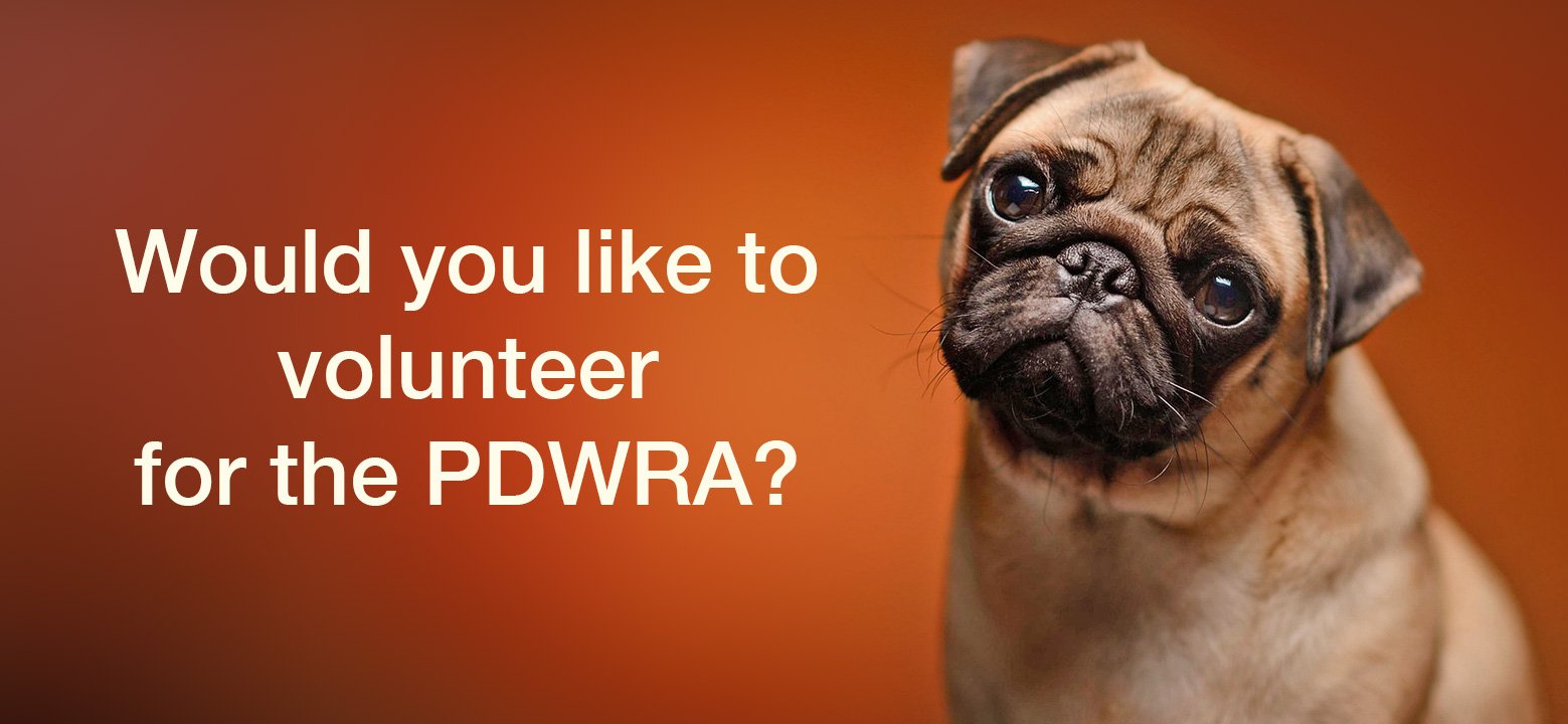 Would you like to volunteer for the PDWRA?