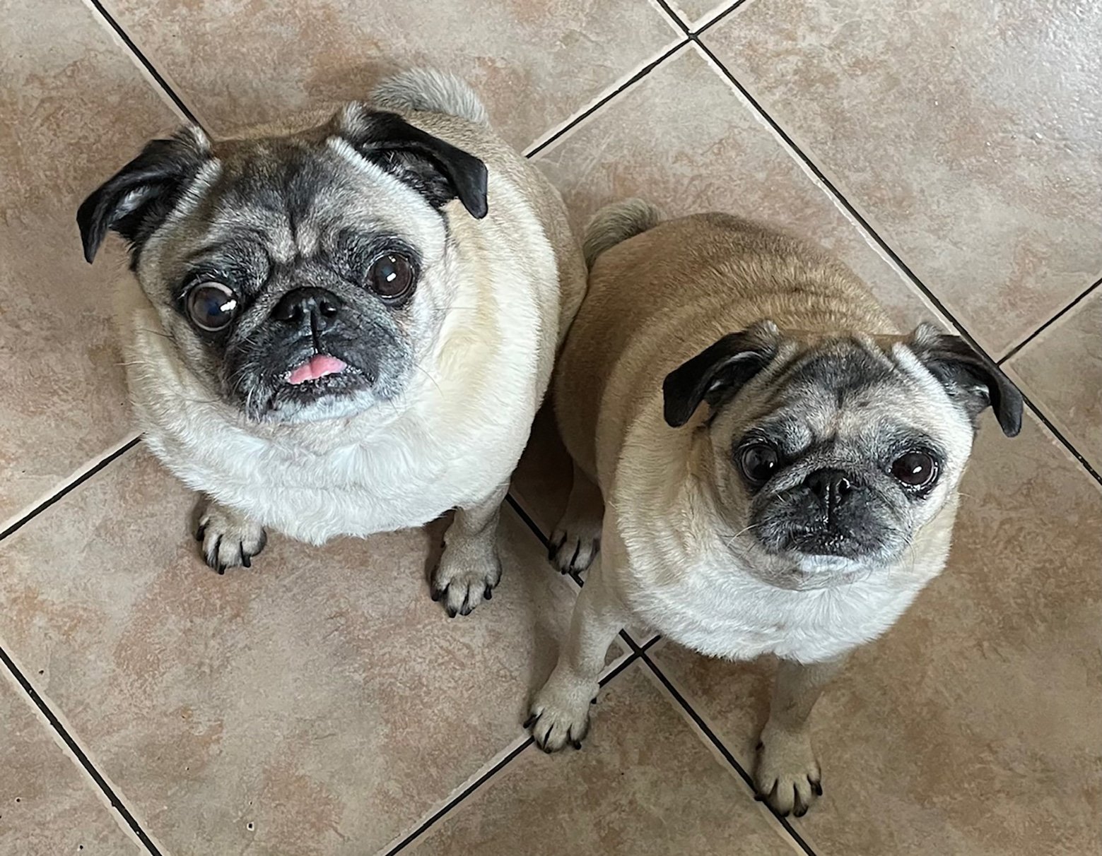 Arlo & Nora waiting for some food