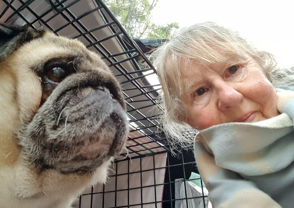 Volunteer Area Coordinator and Fosterer Jackie