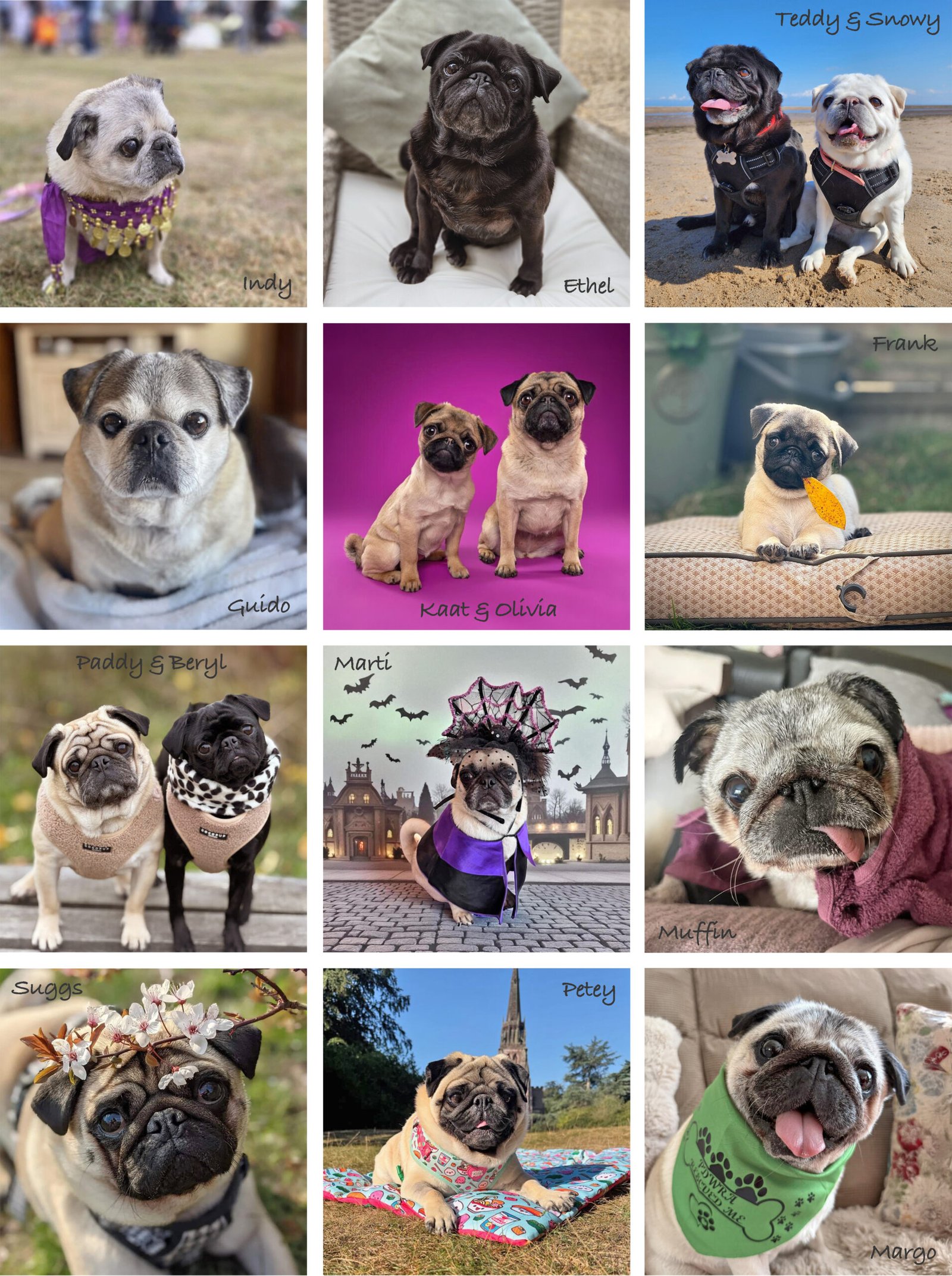 The 12 lucky winners of our National Pug Day competition