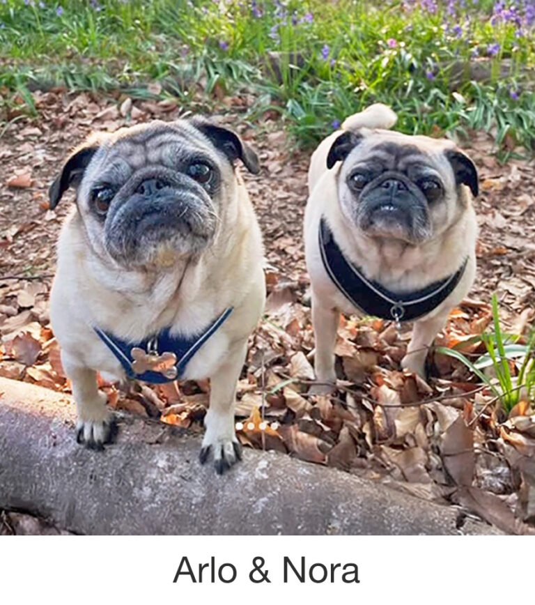 Arlo & Nora were rescued by PWR