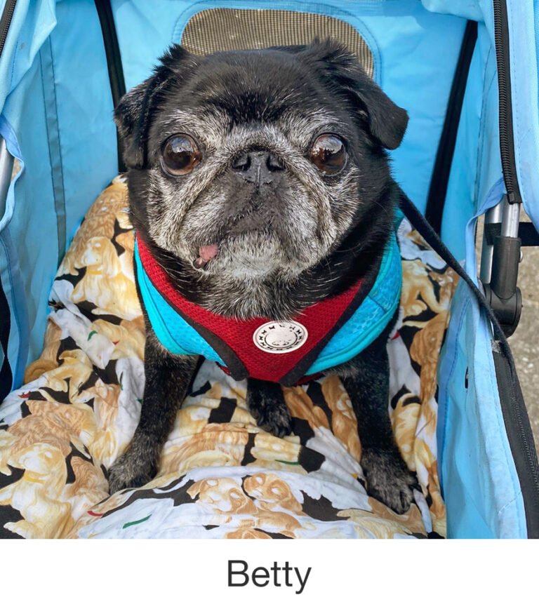 Betty was rescued by PWR