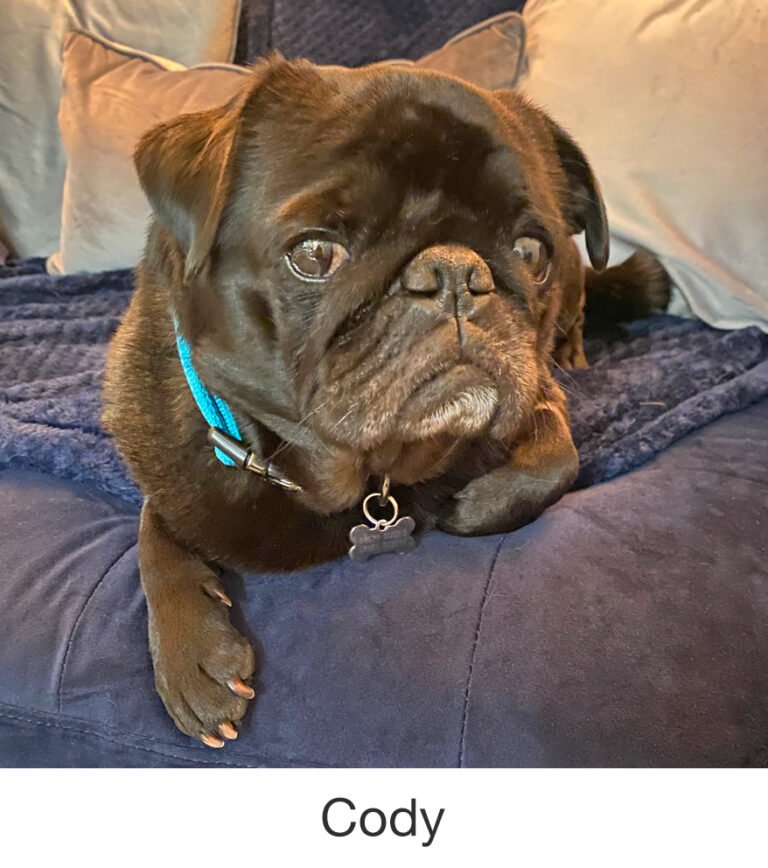 Cody was rescued by PWR