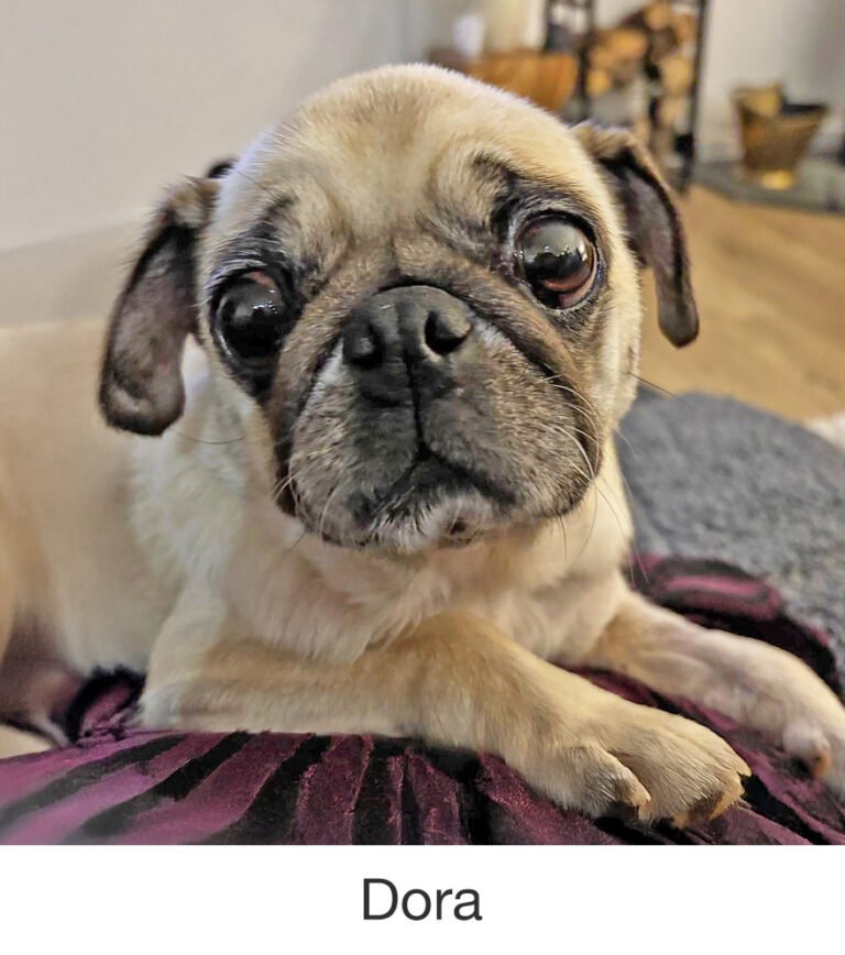 Dora was rescued by PWR