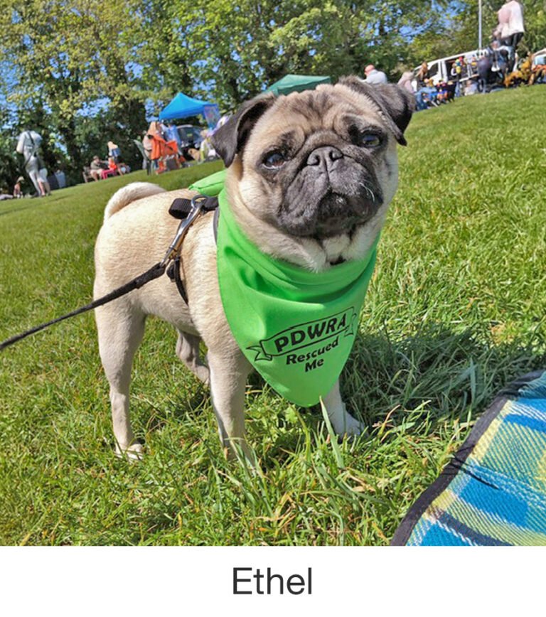 Ethel was rescued by PWR