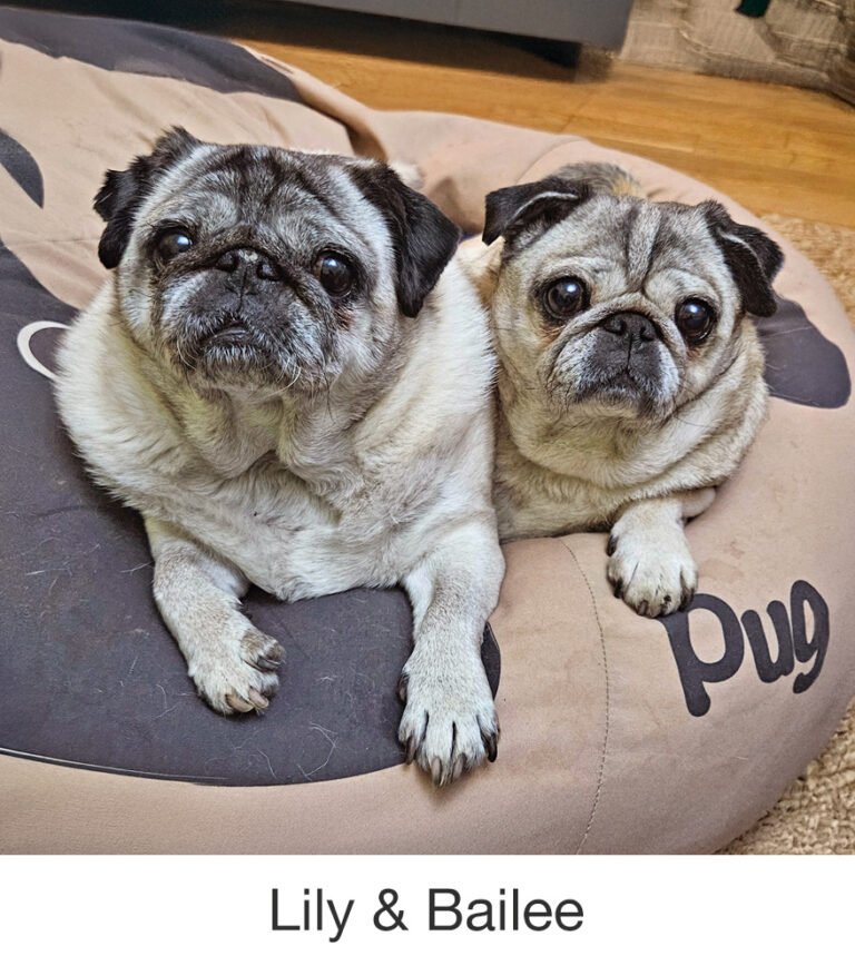 Lily & Bailee were rescued by PWR