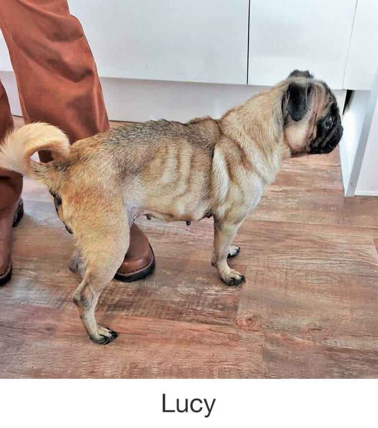 Lucy was rescued by PWR