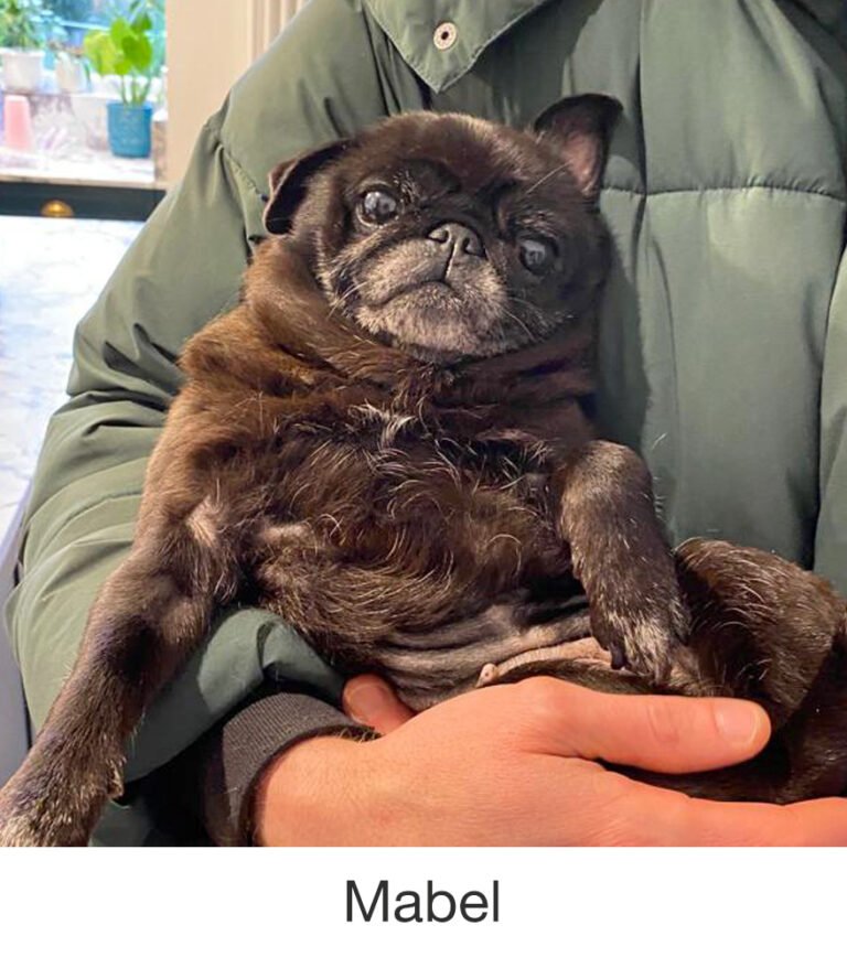 Mabel was rescued by PWR