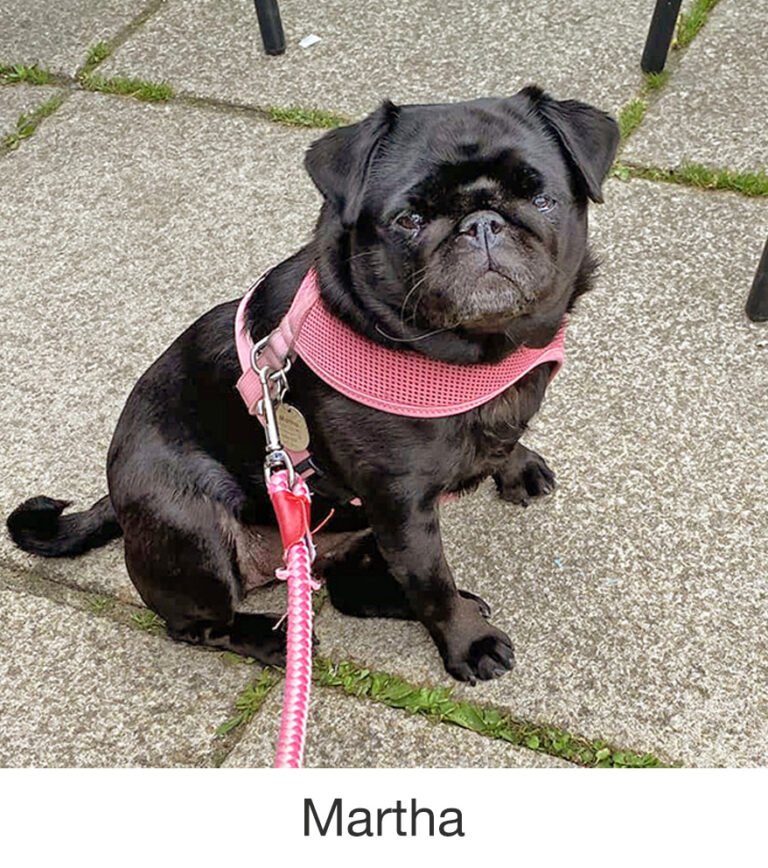 Martha was rescued by PWR