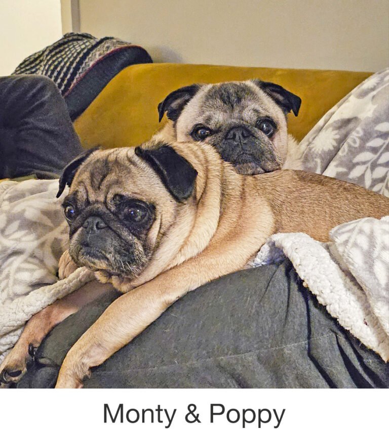 Monty & Poppy were rescued by PWR