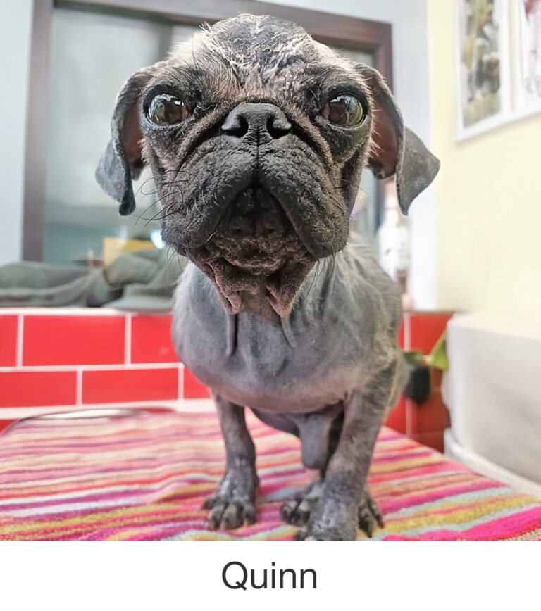 Quinn was rescued by PWR