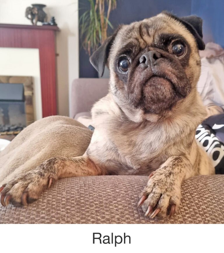 Ralph was rescued by PWR