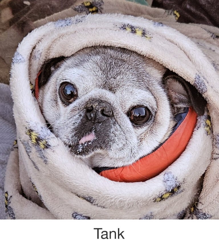 Tank was rescued by PWR