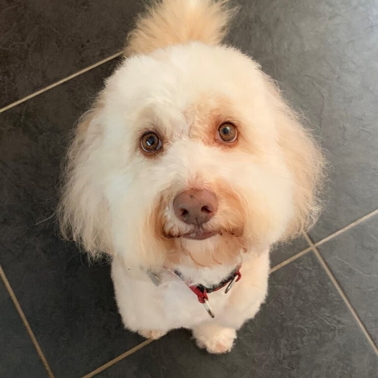 PWR Secretary Alison Dean