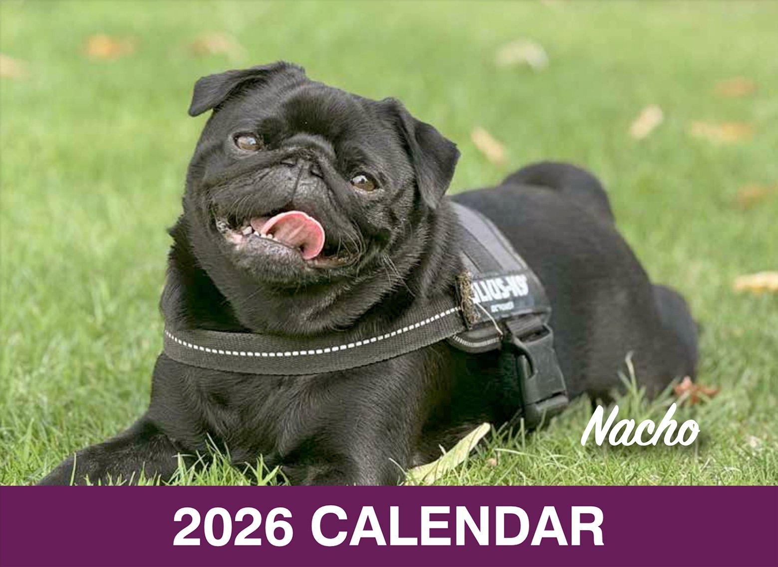 The 2026 PDWRA Calendar is now available!