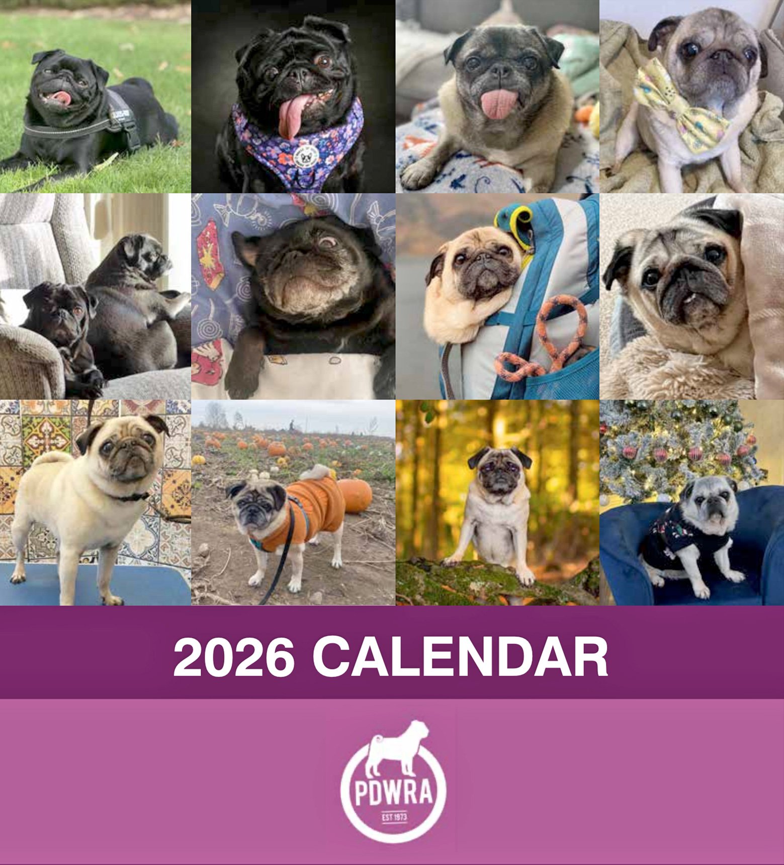 The 2026 PDWRA Calendar is now available!