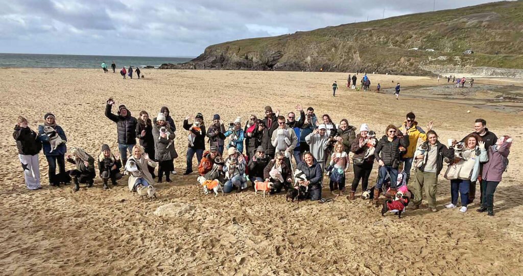The Cornwall pug meet Fundraising for Pug Welfare & Rescue at Poldhu Beach