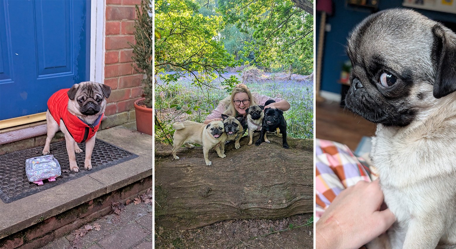 Carolyn with her grumble, including her new pug Dora