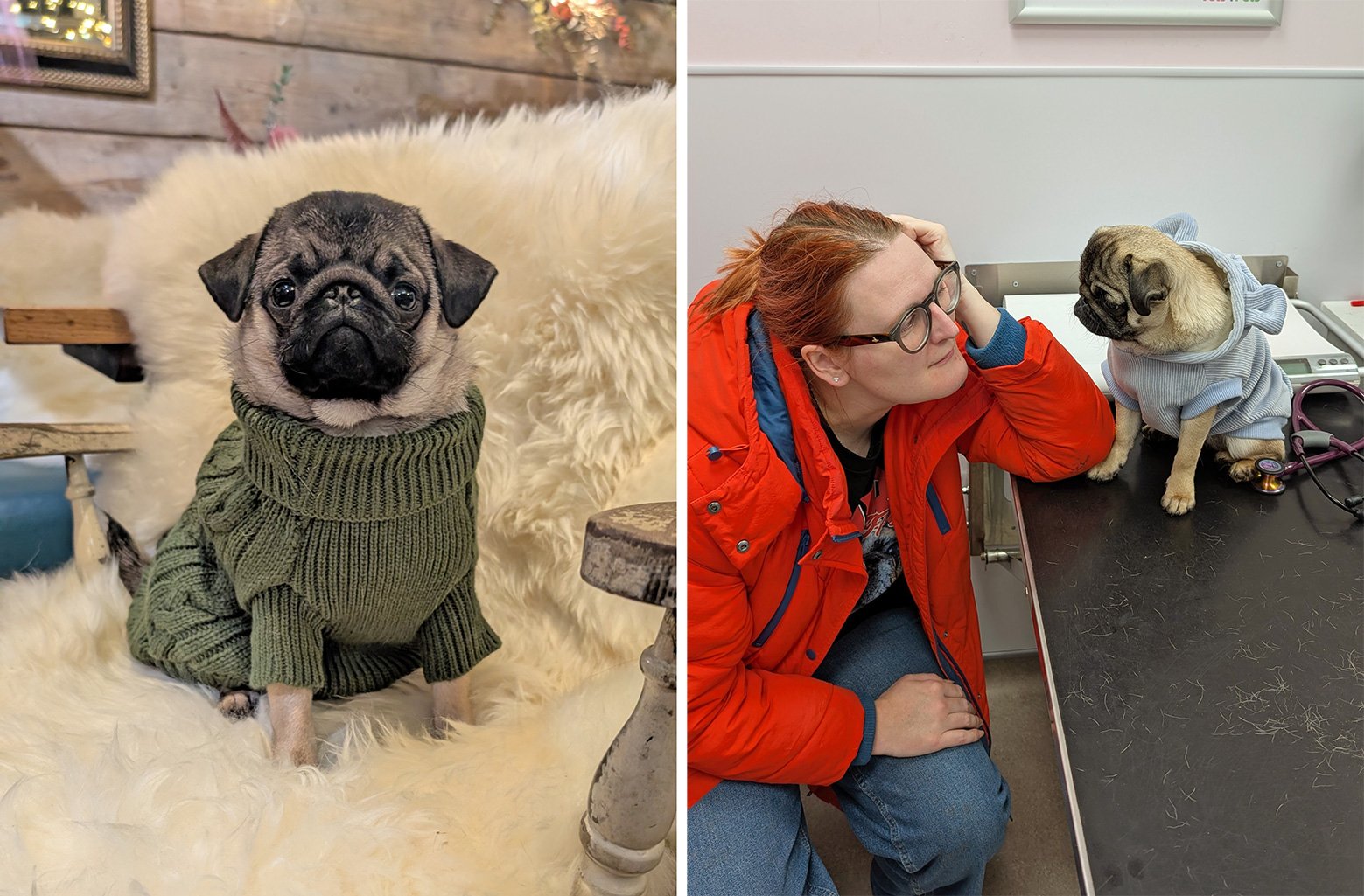 Carolyn with her new pug Dora