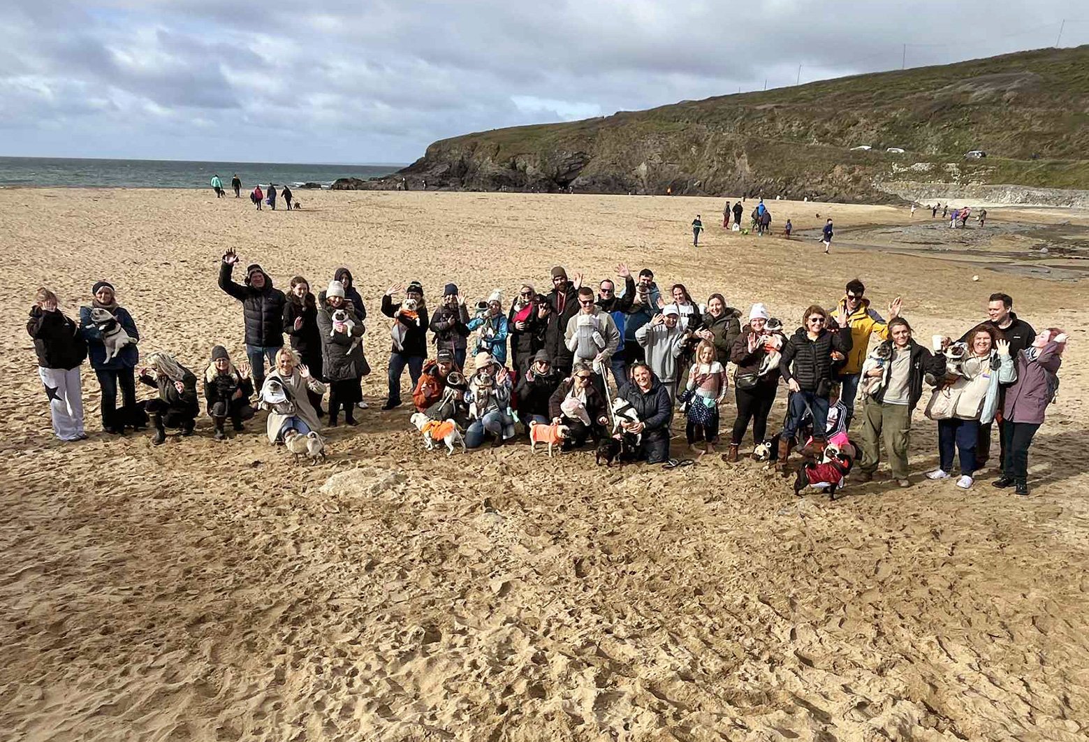 The Cornwall Pug Meet posing for a lovely group picture on Poldhu Beach