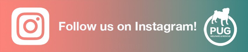 Follow PWR on Instagram