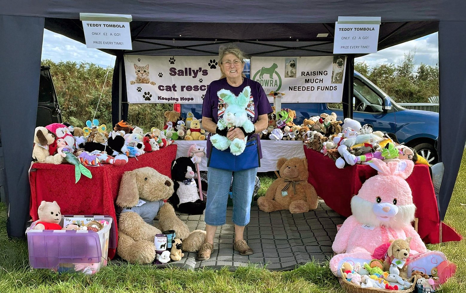 Lynn Parsons raising funds for Pug Welfare & Rescue