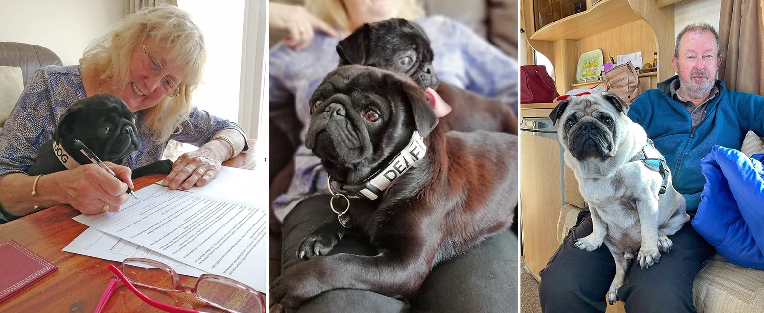 Lynn, husband Geoff and their pugs